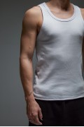MUSCULOSA PHI